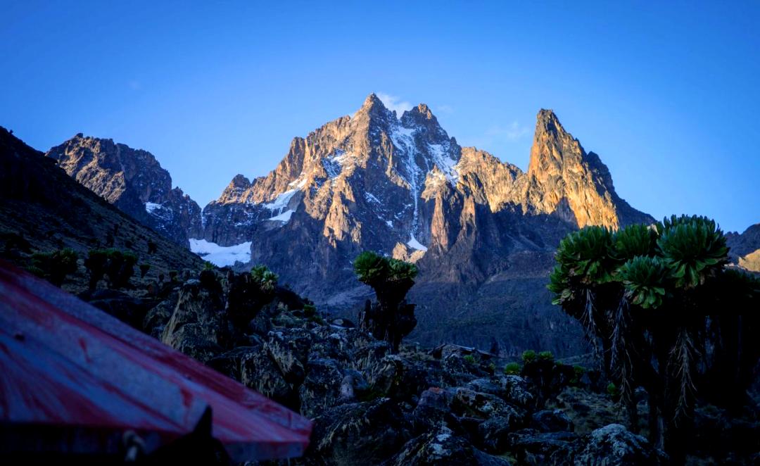 利记平台-肯尼亚联赛球队在比赛中脱颖而出