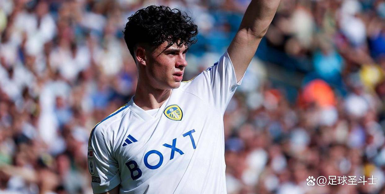 利记平台-利兹联后卫遭受罚牌,球队或受制裁