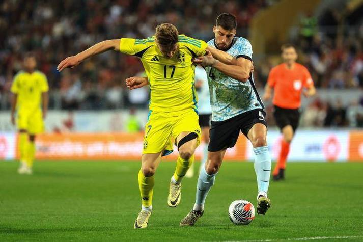 利记官网-德累斯顿球队球员奋战至最后，不负期望取胜